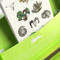 Histoire naturelle - Coffret d'écriture de lettres